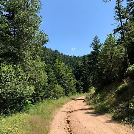 Comfortable House Σπίτι διακοπών Arconsat